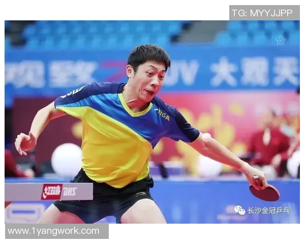 上海乒乓球队区域防守策略解析与比赛表现的深度分析 上海乒乓球队区域防守策略解析与比赛表现的深度分析
